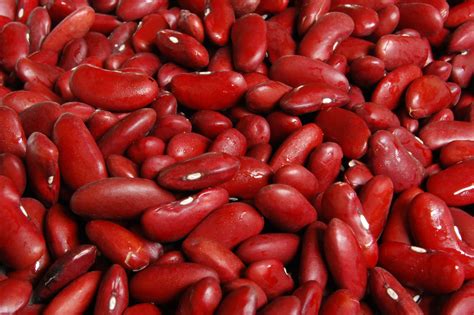 The Science Behind the Magic: How Bzyou Magic Red Beans Work